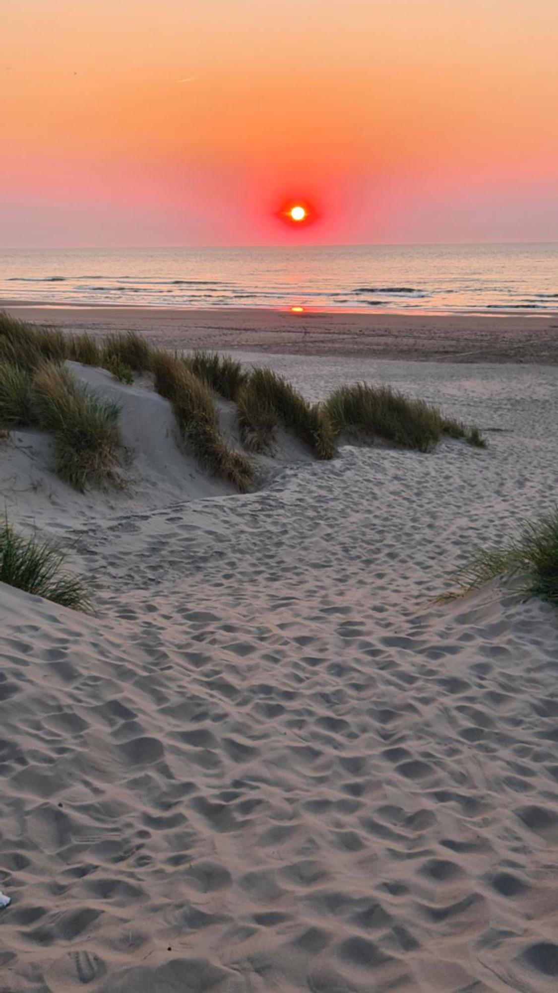 Chardonnay At The Beach Blankenberge Bagian luar foto